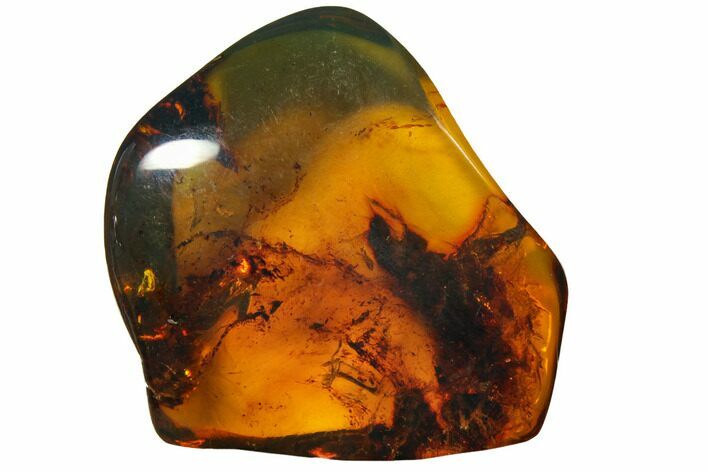 Polished Chiapas Amber ( g) - Mexico #114760